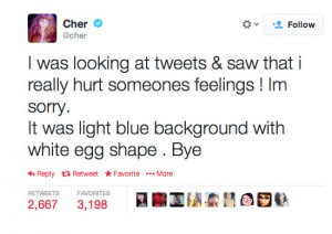 cher worst celebrity tweets offend twitter