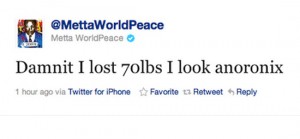 metta world peace worst celebrity tweets anorexic